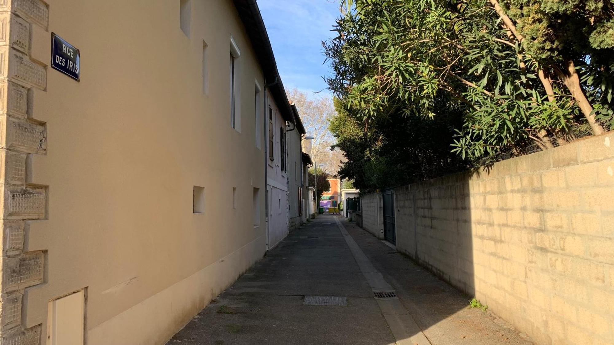 Apartament Au Calme De L'Iris - Clim - Garage - Wifi - Tramway Awinion Zewnętrze zdjęcie